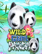 เว็บพนัน มีของแถม ที่คุณไม่ควรพลาด!